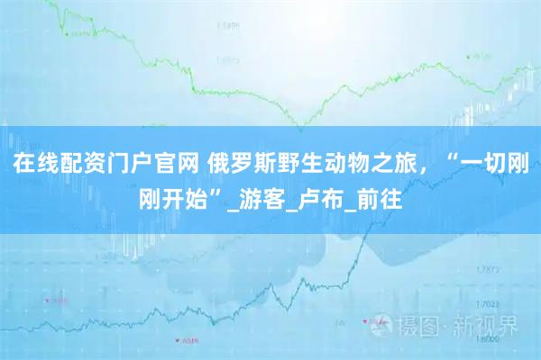 在线配资门户官网 俄罗斯野生动物之旅，“一切刚刚开始”_游客_卢布_前往