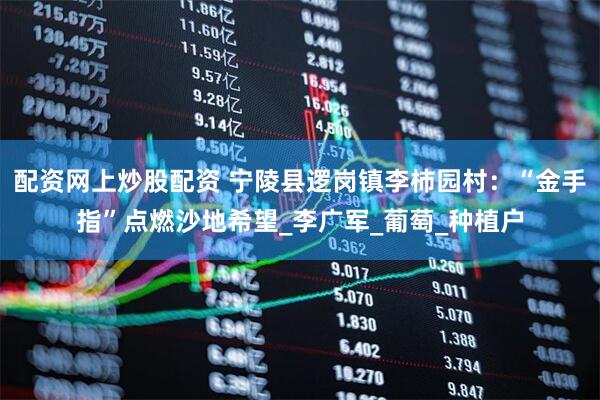 配资网上炒股配资 宁陵县逻岗镇李柿园村：“金手指”点燃沙地希望_李广军_葡萄_种植户