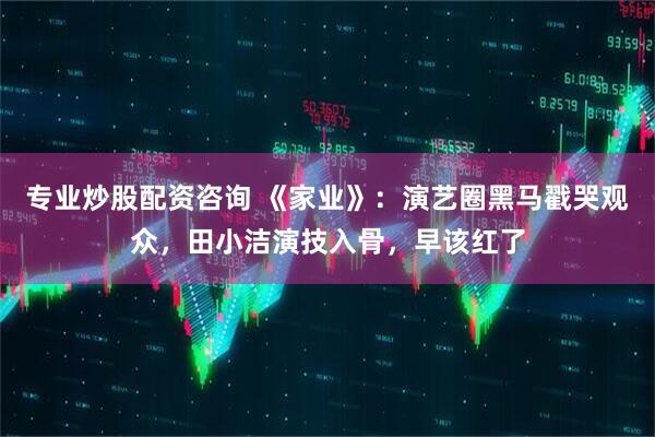 专业炒股配资咨询 《家业》：演艺圈黑马戳哭观众，田小洁演技入骨，早该红了